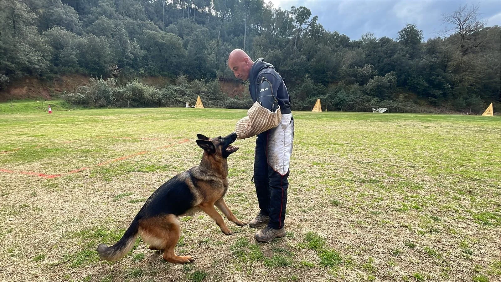 Entrenamiento deportivo de Pastor Alemán